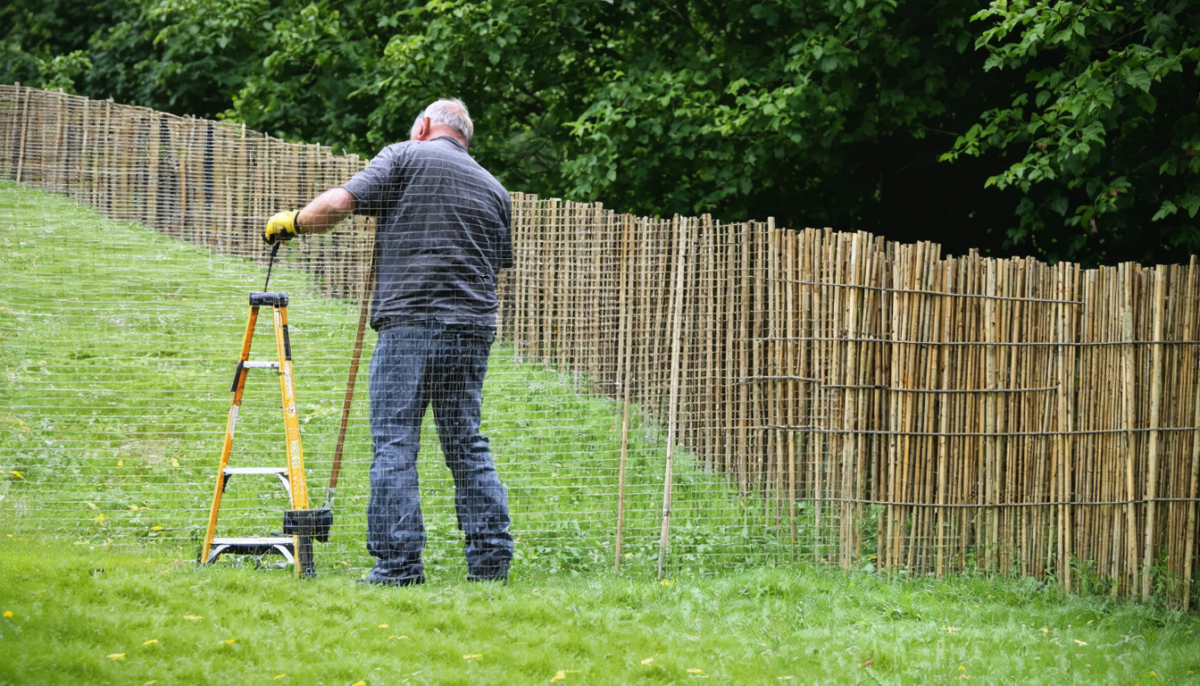 découvrez comment une clôture installée par un expert à caen a transformé un espace extérieur, avec un retour d'expérience détaillé sur les bénéfices esthétiques et sécuritaires.